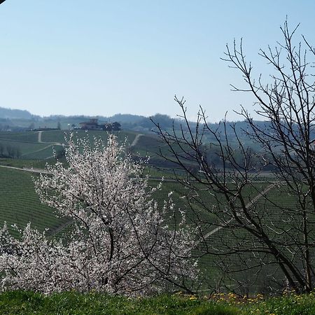 Tenuta Montanello B&B Castiglione Falletto Exteriör bild