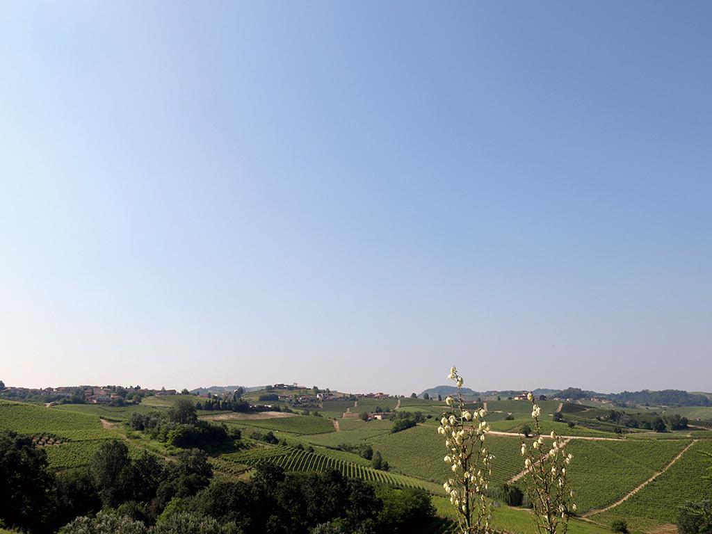 Tenuta Montanello B&B Castiglione Falletto Exteriör bild