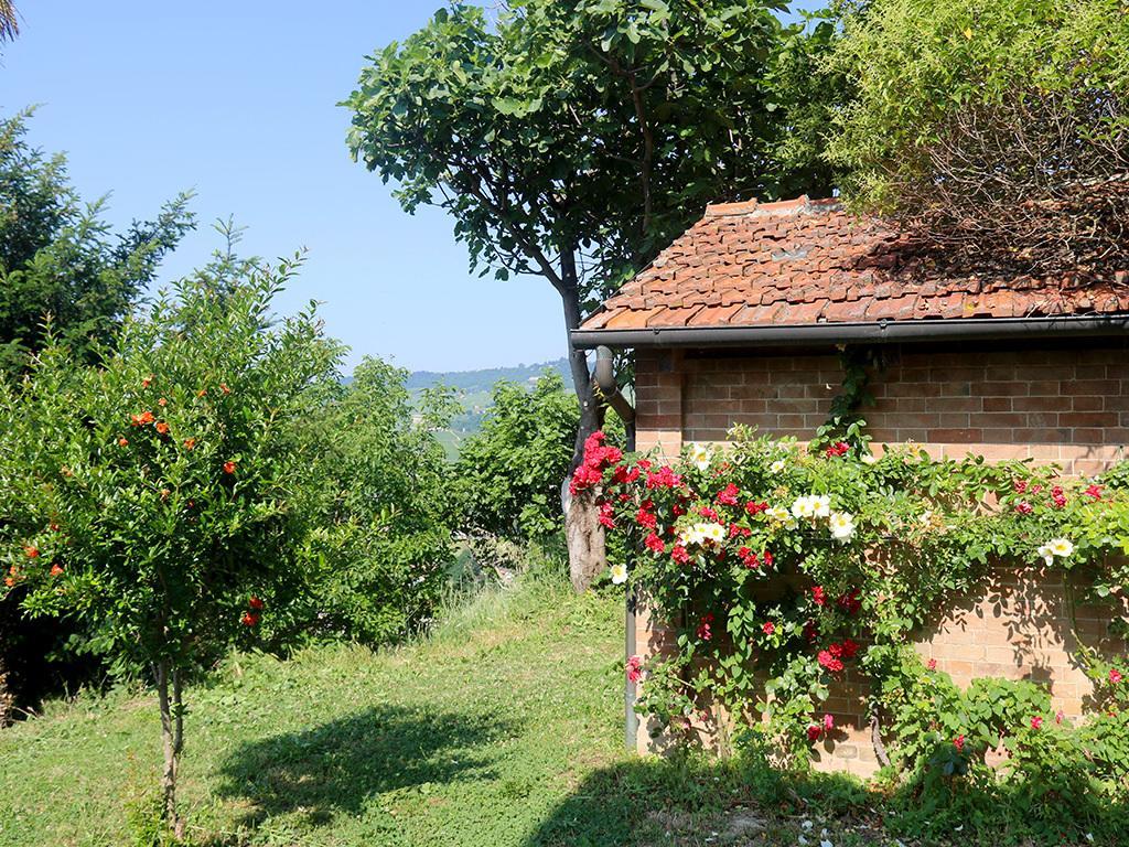 Tenuta Montanello B&B Castiglione Falletto Exteriör bild