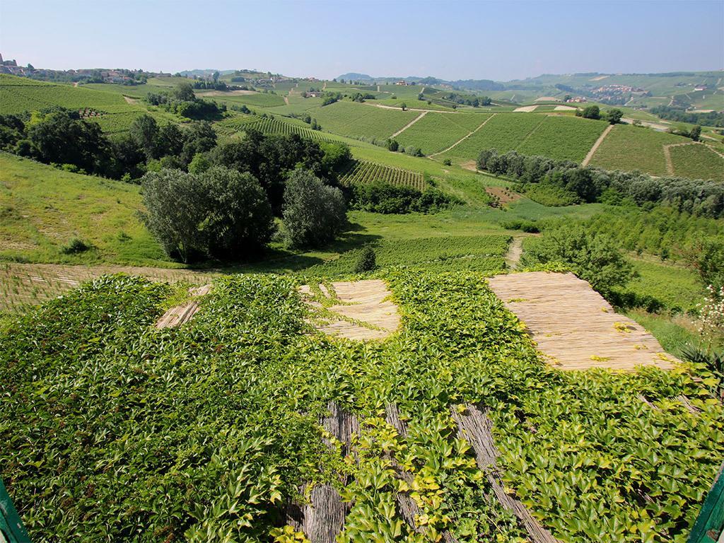 Tenuta Montanello B&B Castiglione Falletto Exteriör bild