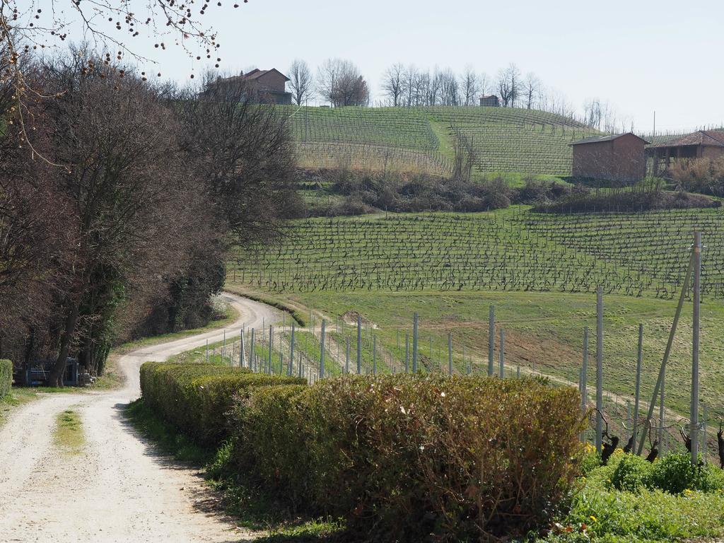 Tenuta Montanello B&B Castiglione Falletto Exteriör bild